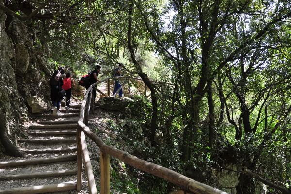 Agios Antonios Schlucht auf Kreta