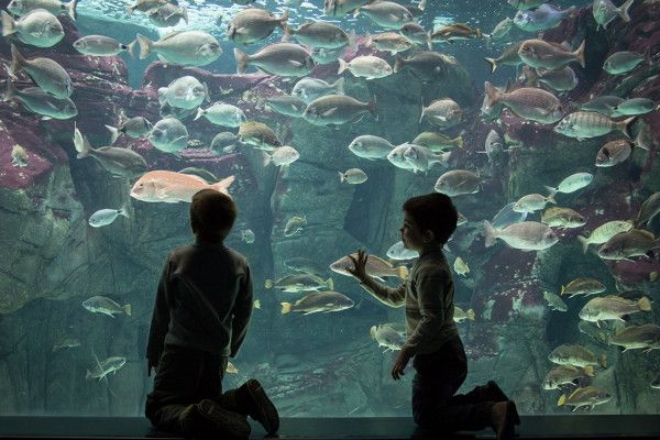 Aquarium Kreta – CretAquarium