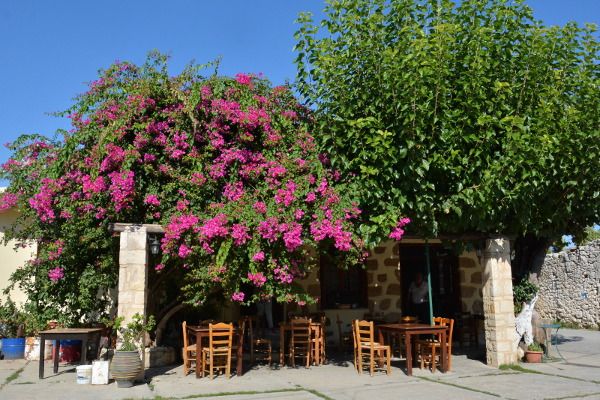 Maza Apokoronas Chania Kreta