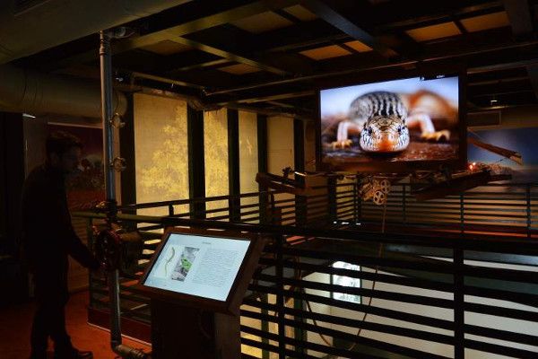 Das naturhistorische Museum in Heraklion