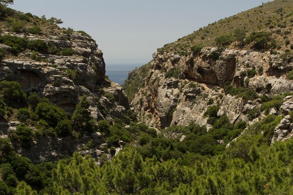 Pefki Gorge, Crete