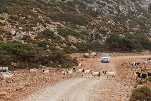 rodopou peninsula crete