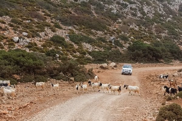 Rodopou Halbinsel Chania Crete