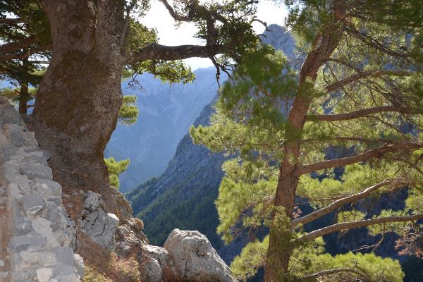 Samaria Schlucht Kreta